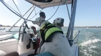 Hors'in around on the Crystal Coast ep 4 Sailing and Fun #6