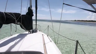 ♥️♥️⛵️ Sailing from a Beautiful Beach thru a herd of Turtles -Florida coast #3