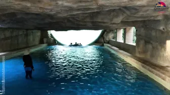 Unlocking the Ultimate Water Slide Adventure: Aquaventure Waterpark, Dubai #7