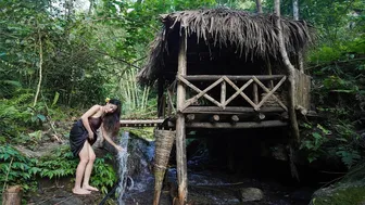 Full 7 Day Building complete and warm survival shelter - Bushcraft Suvival In the Rain Forest - ASMR