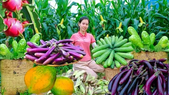 FULL 300 DAYS Harvesting Sweet Eggplant-Corn-Cucumber-Gourd Garden go market sell - Mai Nha Tranh