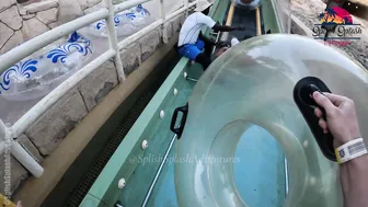 Shark Attack and Storm Water Slides at Aquaventure Water Park in Dubai #3