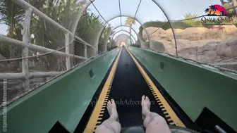 Shark Attack and Storm Water Slides at Aquaventure Water Park in Dubai #5