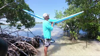 ♥️♥️ ♥️♥️ Wild Life - Take a walk on the Bayside - Sailing and Fun in the FL Keys ♥️♥️ ♥️♥️ #2