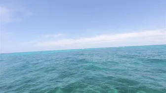 Sailboat with a Hot Shower off the coast of Florida ♥️♥️⛵️ #6