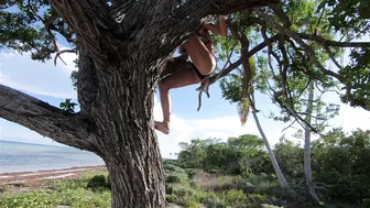 No Shirt, No Shoes, No Problem - Florida Keys - Key West #6