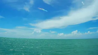 ♥️♥️⛵️ Sailing from a Beautiful Beach thru a herd of Turtles -Florida coast №2 #9