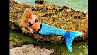 Cap'n lands 112lb catch - MERMAIDS are real-ish - Sailing and Fun