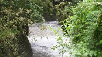 【女ひとり】薪ストーブと紫陽花で癒される ソーセージ三昧の究極雨車中泊 #3