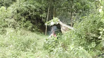 Full Video: Outdoor Adventur, Solo Bushcraft & Camping, Build Survival Shelter, Enjoy peaceful life #8