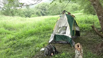 Outdoor Adventures: Camping alone, Cooking, Bathing in stream, Relaxing alone - Free life | ASMR #2