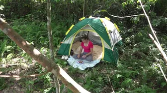 Outdoor adventures | Wild camping - Camping alone in the Stream, Nature sounds to relaxing / ASMR #1