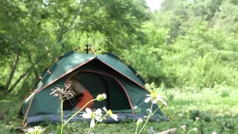 Full Video: Autdoor Adventure & Camping alone relax with nature sounds, fishing, enjoy free life #3