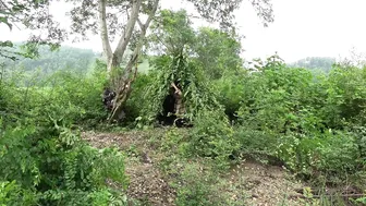 Solo Bushcraft & Camping - Create a simple survival shelter, relax in nature, enjoy free life #7