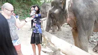 Elephants Bathing in Thailand #5