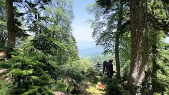 YOUNG GIRL ♥️♥️ SOLO CAMPING IN THE MOUNTAINS - and Relaxing Sounds ASMR. #3