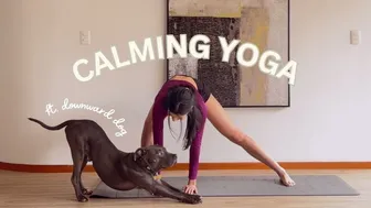 25 minutes of calming yoga ????????‍♀️ (no talking - follow along) | Zarias