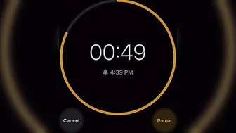 15 MINUTE BACK WORKOUT #4