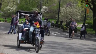 Central Park : Sunny Saturday 04/24/21 .