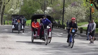 Central Park : Sunny Saturday 04/24/21 . #6