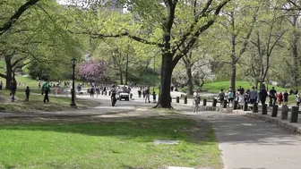 Central Park : Sunny Saturday 04/24/21 . #7