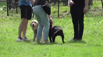 Central Park : Sunny Saturday 04/24/21 . #8