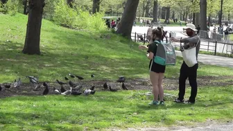 Central Park : Sunny Saturday 04/24/21 . #9