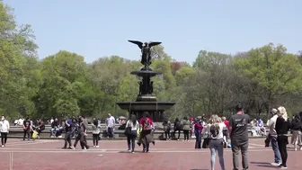 Central Park : A Place Like No Other #3