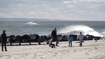 NYC WILD : J.RIIS PARK BIRD WATCHING. Saturday 01/02/21. #5