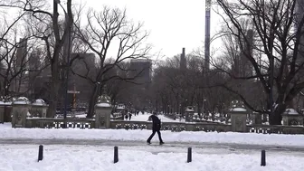 CENTRAL PARK : after 2 days Mega Snow. 12/18/20. #2