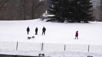 CENTRAL PARK : after 2 days Mega Snow. 12/18/20. #4