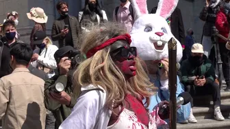 GIRL IN WHITE INTERVIEWS the RABBIT