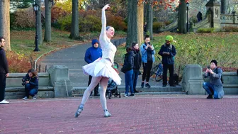 BALLET AT CENTRAL PARK #1