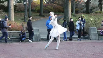 BALLET AT CENTRAL PARK #8