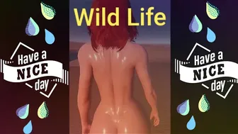 Wild life Sexy Gameplay(+18)