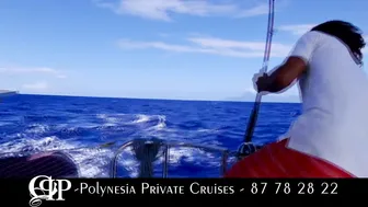 Polynesia Private Cruises #2