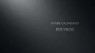 GROUPE SIU Calendrier 2015 POLYBOIS #5