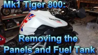 Tiger 800 Service Part 2 - Removing panels and fuel tank