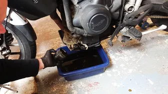 Tiger 800 Service Part 1 - Oil and filter change #4