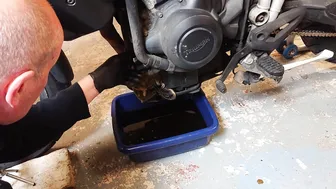 Tiger 800 Service Part 1 - Oil and filter change #5