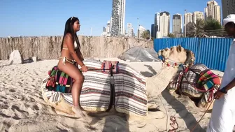 Colombian Bikini Model Riding A Camel #10