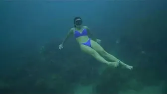 Free Diving In Blue Thong Bikini