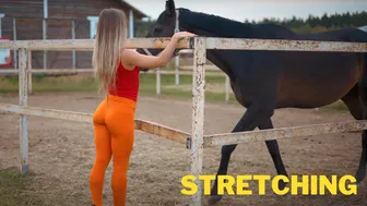 Harmonious Stretching: Yoga with Majestic Horses in 8K Nature