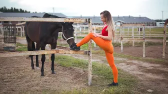 Harmonious Stretching: Yoga with Majestic Horses in 8K Nature #3