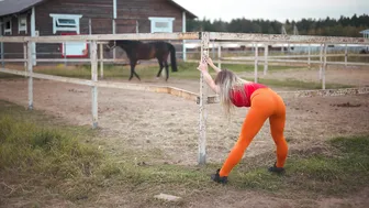 Harmonious Stretching: Yoga with Majestic Horses in 8K Nature #6