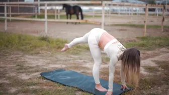 Harmony Unleashed: Stretching Yoga with Majestic Horses in True 8K #5